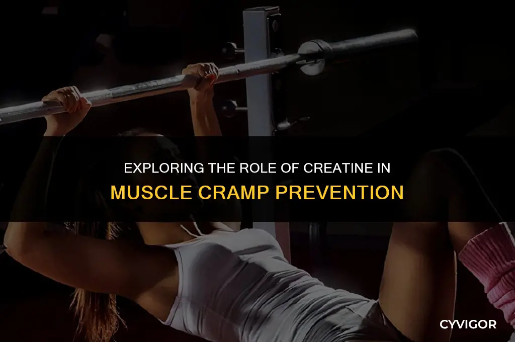 does creatine prevent muscle cramps