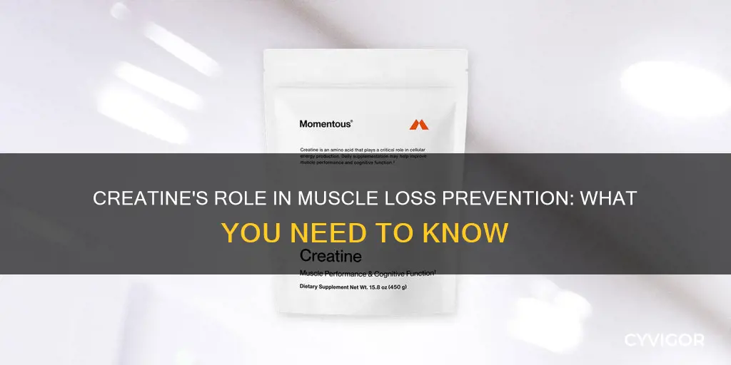 does creatine prevent muscle loss