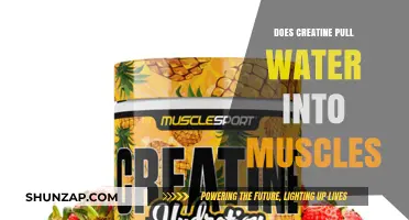 Does Creatine Pull Water into Muscles? Unraveling the Hydration Myth