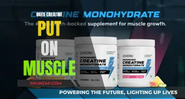 Creatine's Muscle-Building Benefits: Fact or Fiction?