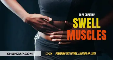 Creatine's Muscle Swelling Effect: Fact or Fiction?