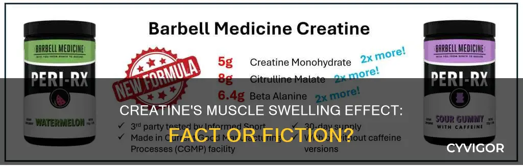 does creatine swell muscles