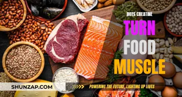 Creatine and Muscle Growth: Turning Food into Power