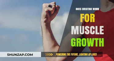 Does Creatine Work for Muscle Growth? Science-Backed Facts Revealed