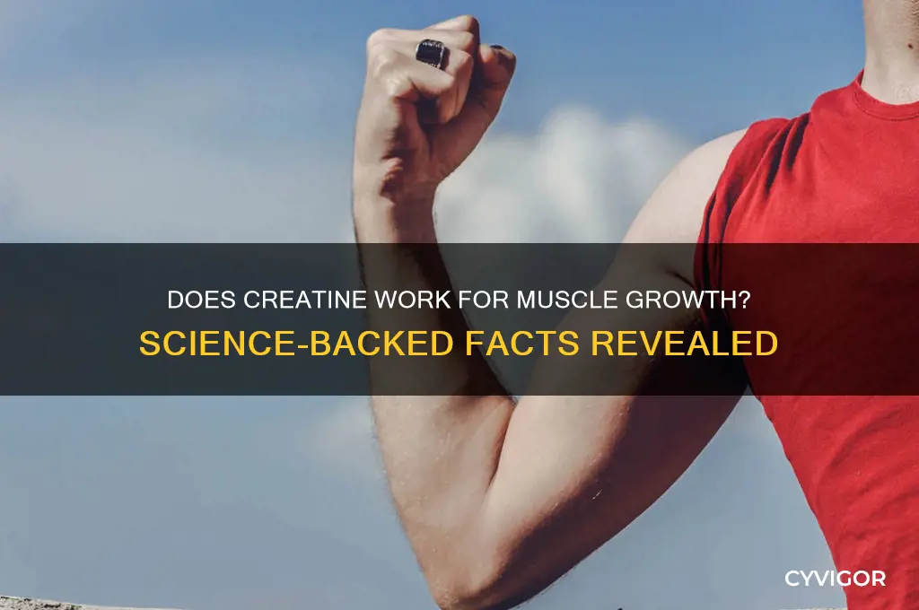 does creatine work for muscle growth