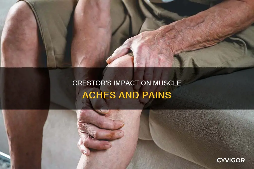 does crestor improve muscle acheness
