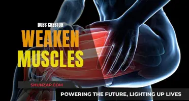 Crestor's Muscle Weakening Side Effects: What You Need to Know