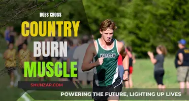 Cross Country Running: Burning Muscle or Myth?