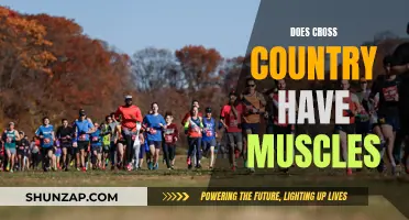 Why Cross-Country Runners Have Well-Defined Muscles