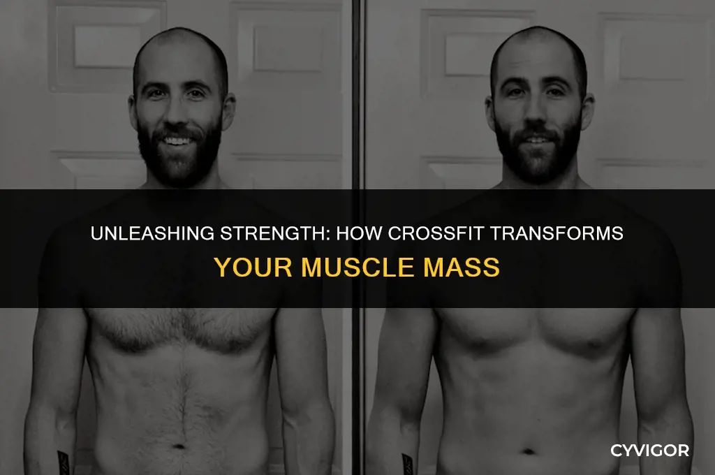 does crossfit build muscle mass