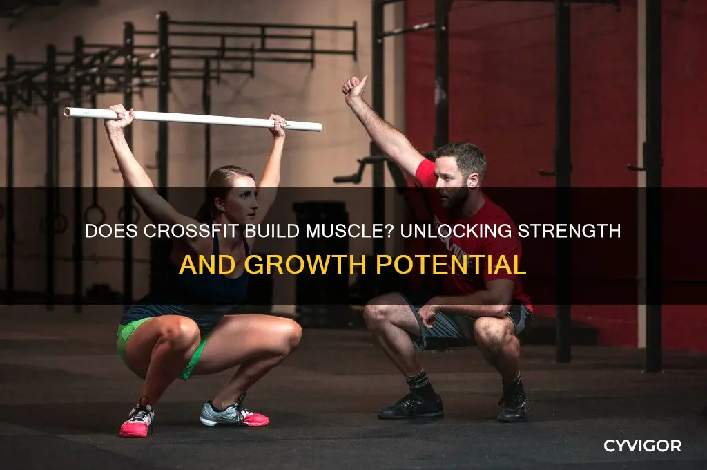 does crossfit gain muscle