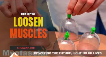 Cupping Therapy: Muscle Relaxation and Pain Relief