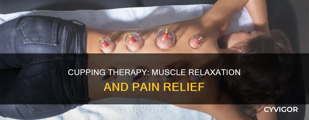 does cupping loosen muscles