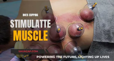 Muscle Stimulation Through Cupping: Does It Work?
