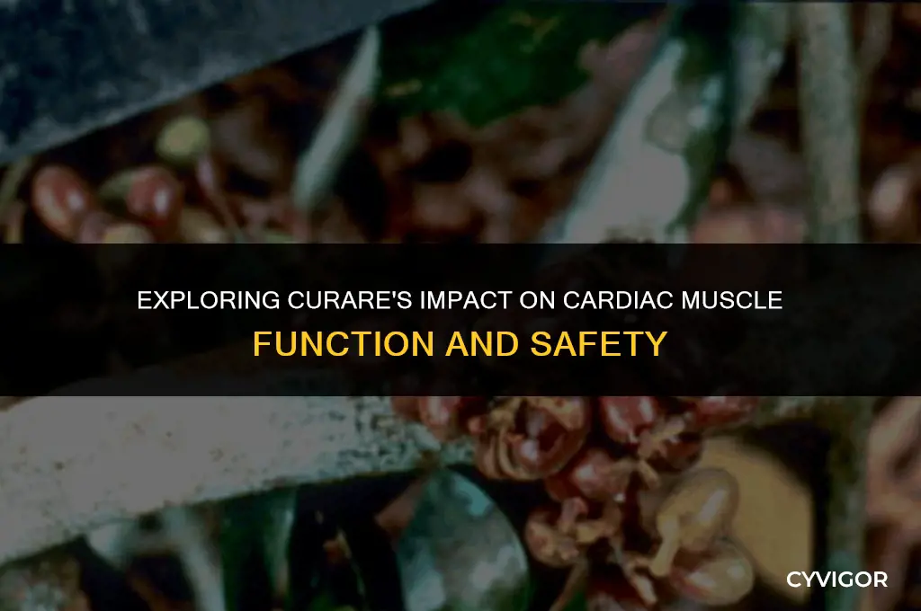 does curare affect cardiac muscle