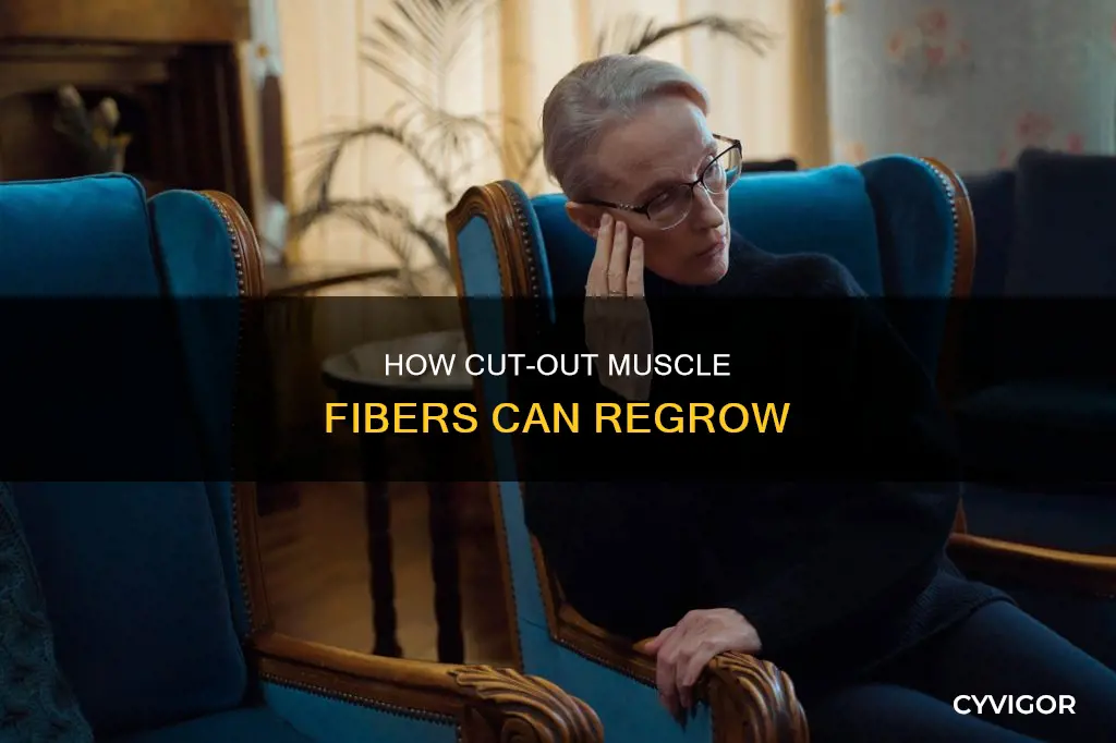 does cut out muscle regrow