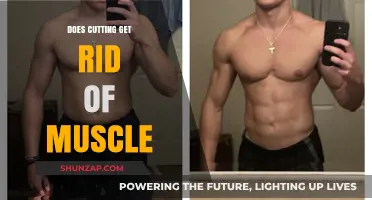Debunking Fitness Myths: The Truth About Cutting and Muscle Loss