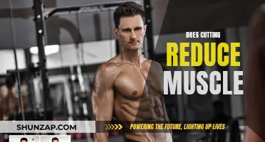 Cutting and Muscle Loss: What's the Real Story?