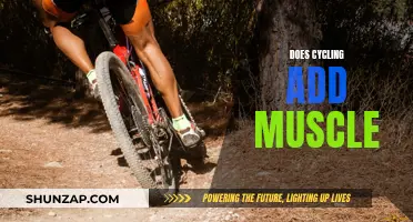 Cycling and Muscle Gain: What's the Relationship?