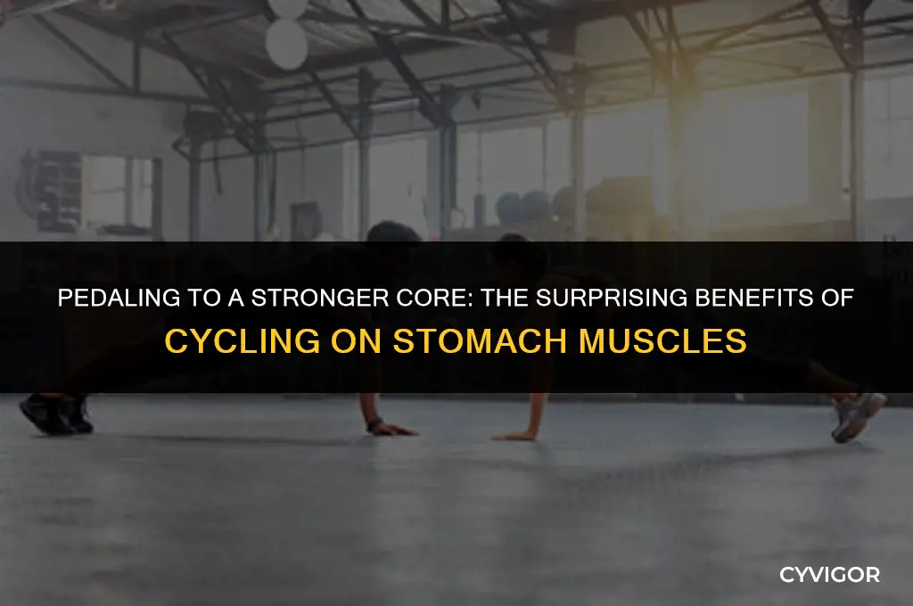 does cycling affect stomach muscles