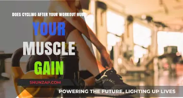 Cycling Post-Workout: Does It Impact Muscle Gain or Enhance Recovery?