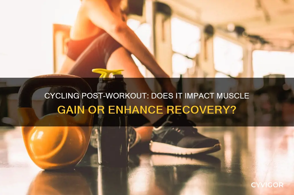does cycling after your workout hurt your muscle gain