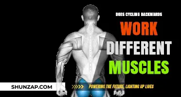 Cycling Backwards: Unlocking Unique Muscle Engagement and Benefits