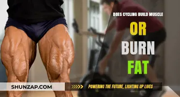 Pedal Power: Unraveling the Myth of Cycling and Muscle Gain