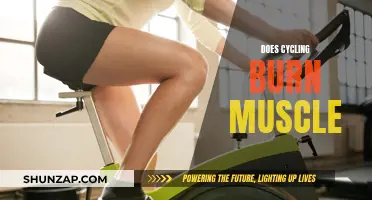 Cycling and Muscle Loss: What's the Real Deal?