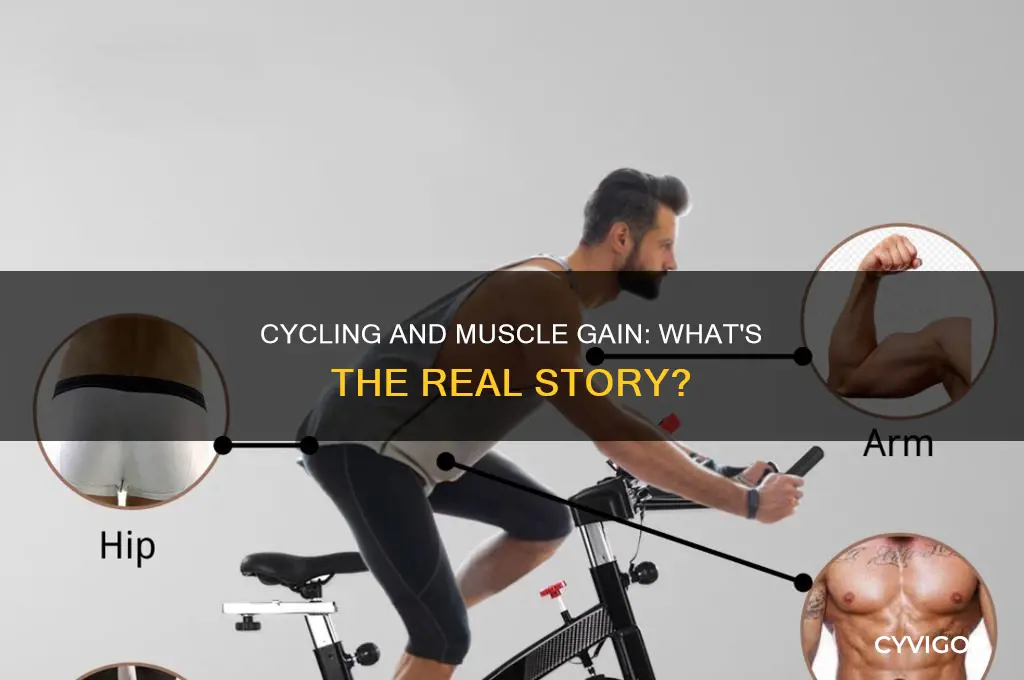 does cycling cause muscle gain