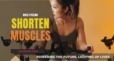 Cycling's Impact: Muscle Shortening Reality or Myth?