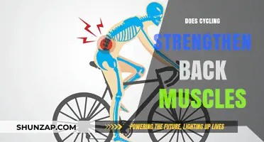 Rev Up Your Ride: How Cycling Boosts Your Back Muscles