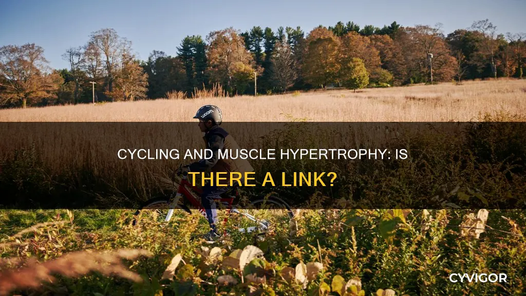 does cycling support muscle hypertrophy