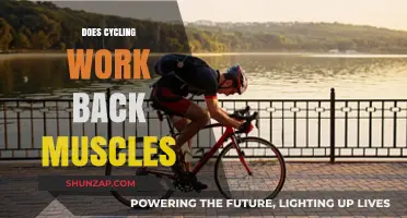 Cycling and Back Strength: How Pedaling Shapes Your Back Muscles