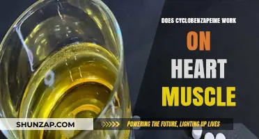 Cyclobenzaprine and Heart Muscle: Efficacy Explored in Detail