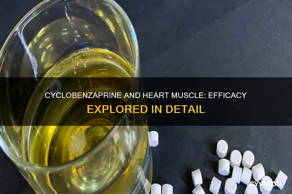 does cyclobenzapeine work on heart muscle