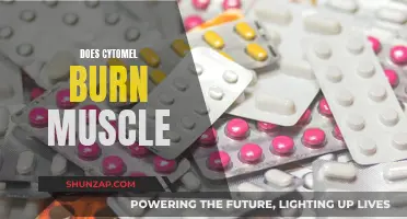 Cytomel and Muscle: What's the Real Impact?