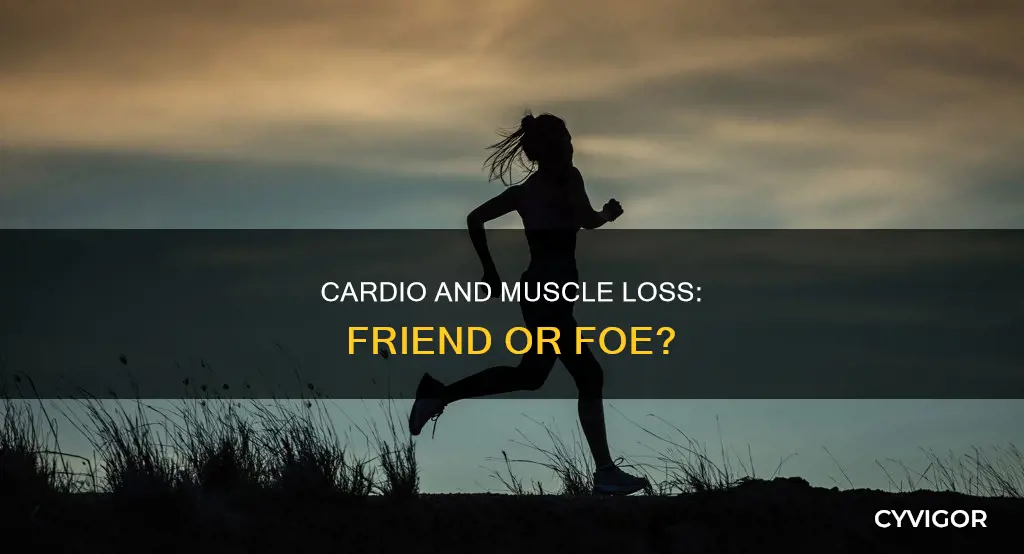 does daily cardio burn muscle