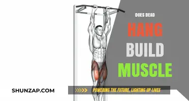 Exploring the Myth: Can Dead Hangs Really Build Muscle?