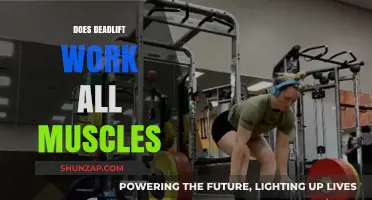 Deadlift Benefits: A Full-Body Workout or Targeted Muscle Builder?