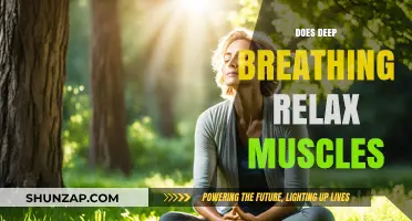 Deep Breathing Techniques: Unlocking Muscle Relaxation and Stress Relief