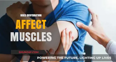 Exploring the Impact of Dehydration on Muscle Health and Performance