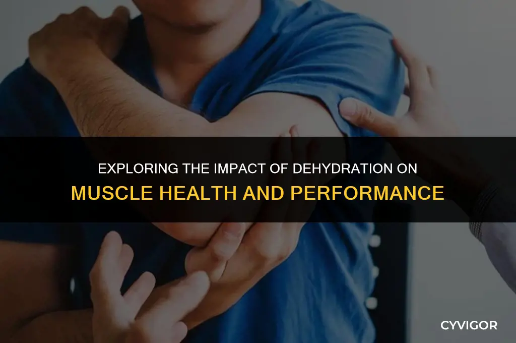does dehydration affect muscles