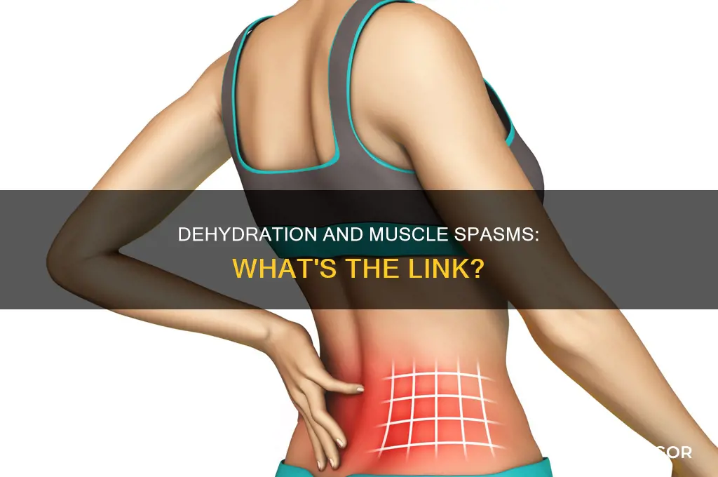 does dehydration cause muscle spasms in one muscle