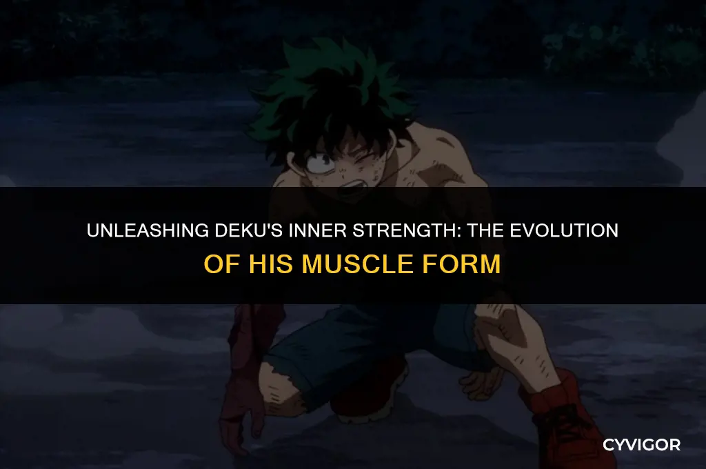does deku ever get a muscle form