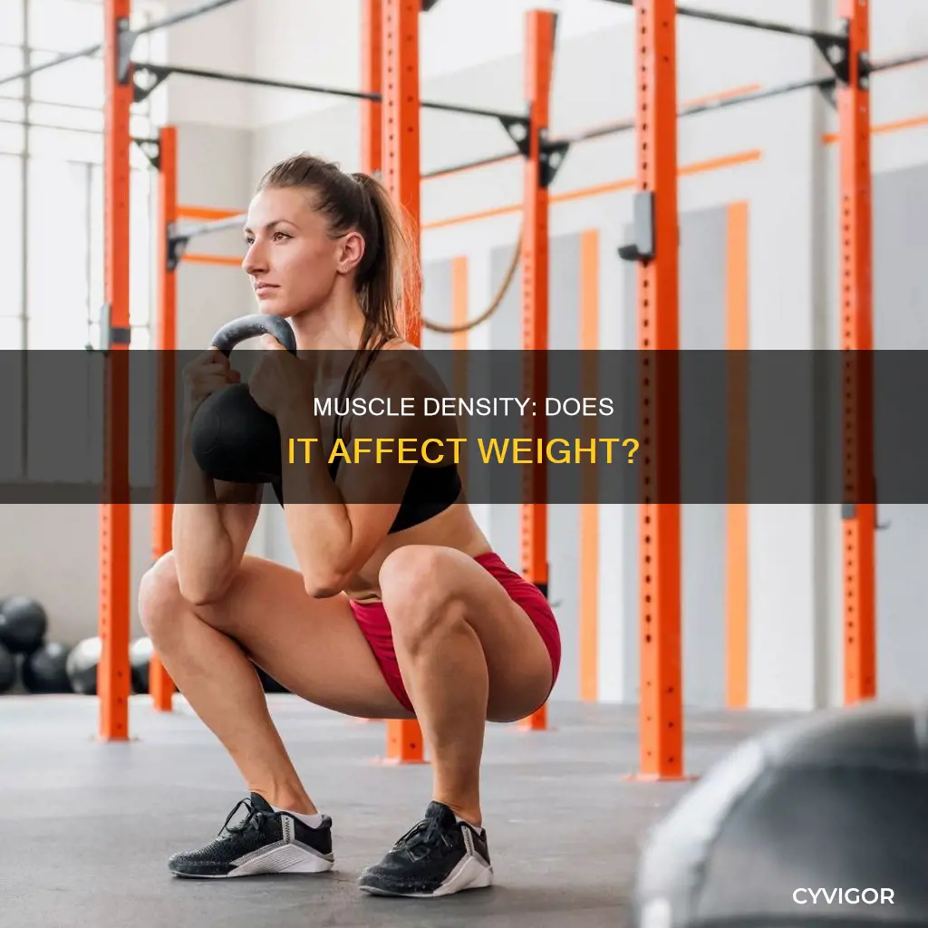 does dense muscle weigh more