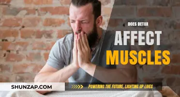 Exploring the Impact of Detox on Muscle Health and Function
