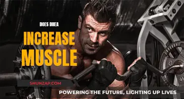 DHEA's Muscle-Building Benefits: Fact or Fiction?