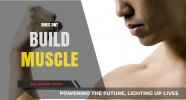 Unlocking the Truth: DHT's Role in Muscle Building Explained