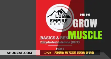 DHT and Muscle Growth: Unraveling the Hormonal Connection for Strength